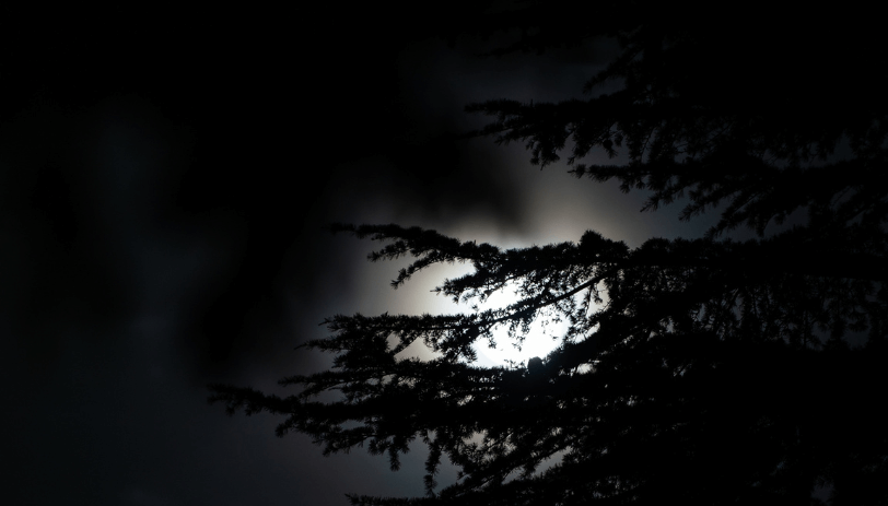 暗闇とおぼろ月